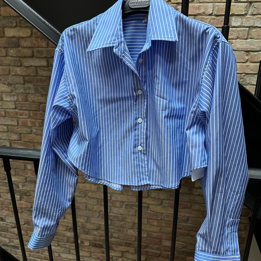 The Frankie Shop Blue Striped Button Down Shirt